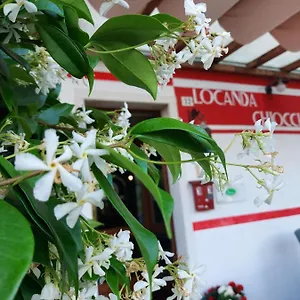 Chiocciola Quero